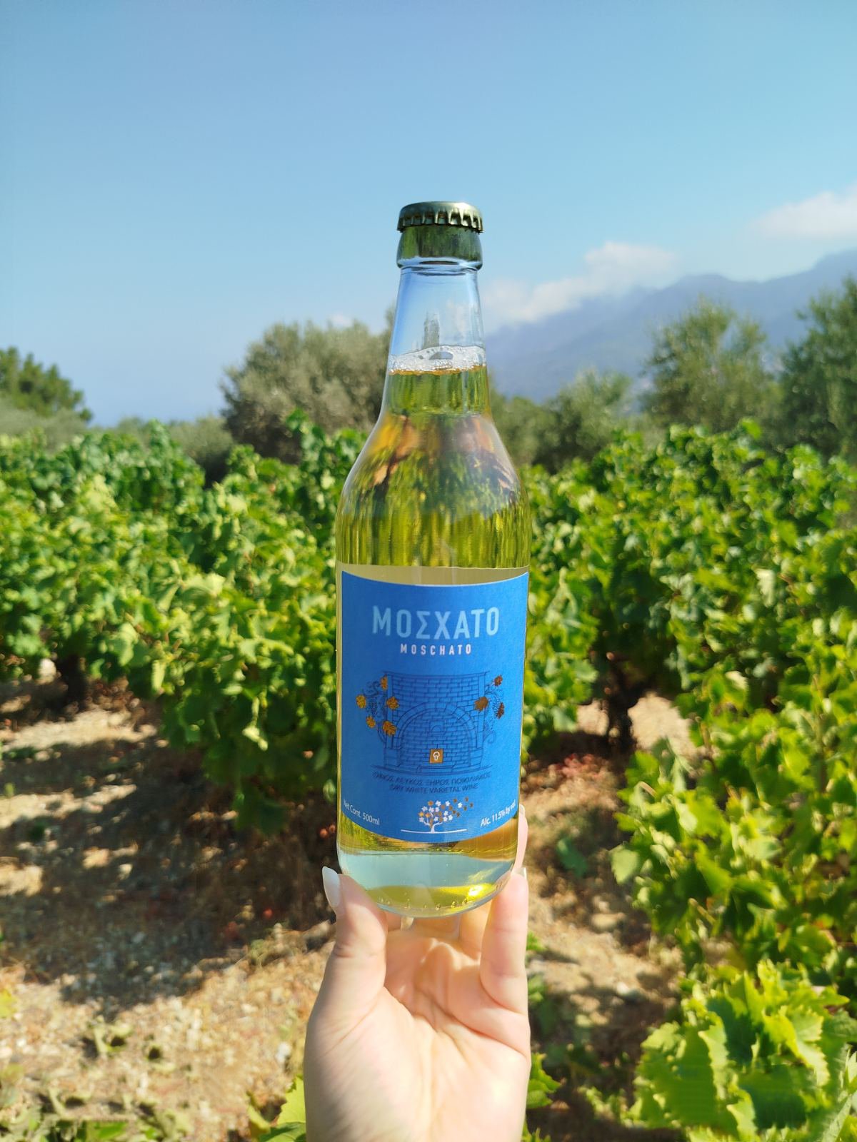 ΜΟΣΧΑΤΟ ΛΕΥΚΟ ΞΗΡΟ 500ML