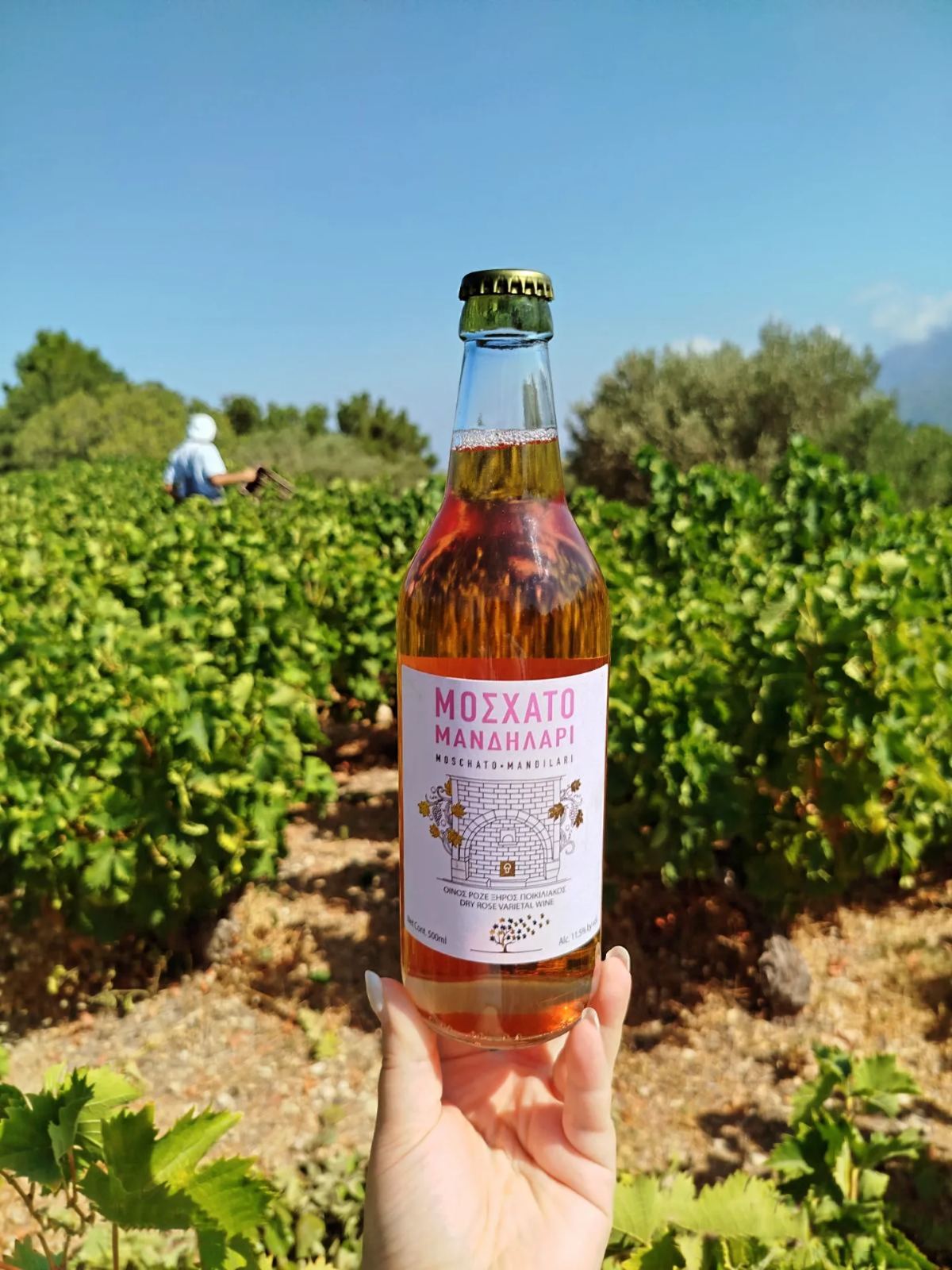 ΜΑΝΔΗΛΑΡΙ ΡΟΖΕ 500ml