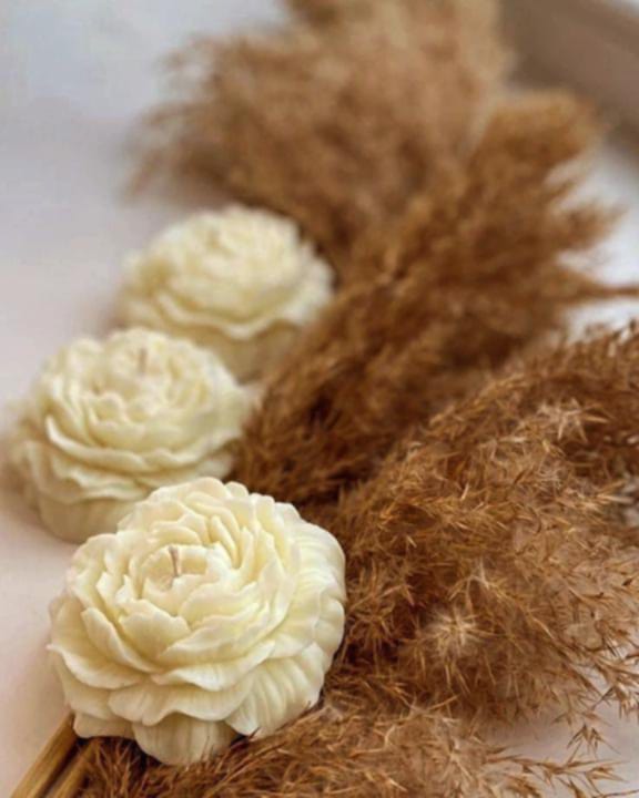 Παιώνια Κερί